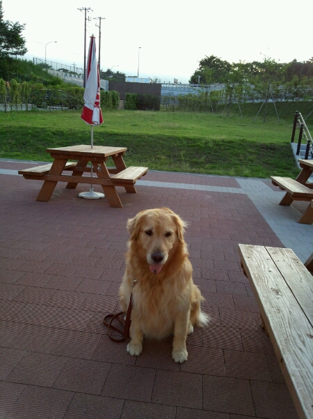 f0230380_40380.jpg