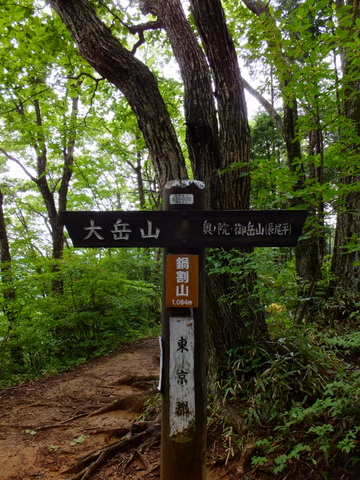 海沢コースからの大岳山　〜６月10日(日)〜　その⑤_a0043982_18233910.jpg