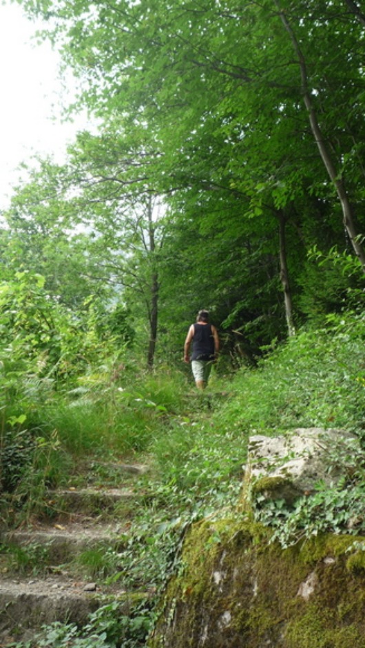 a0278382_76776.jpg