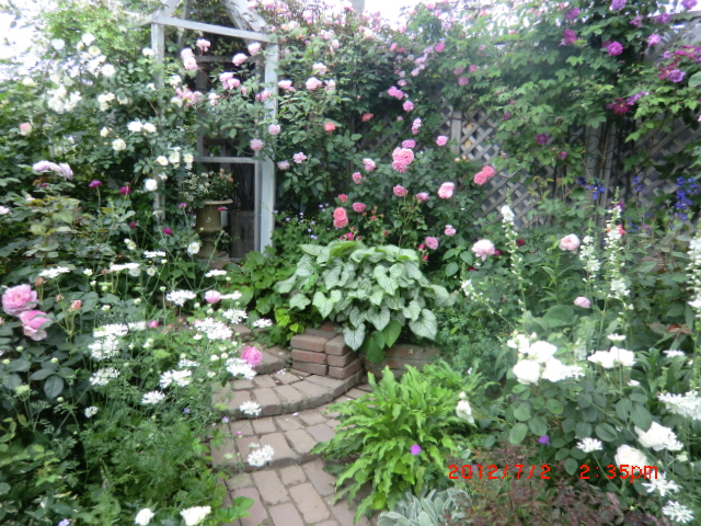 c0078586_19221825.jpg