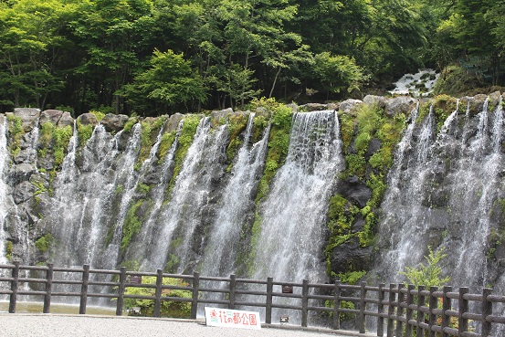 b0107691_23135834.jpg