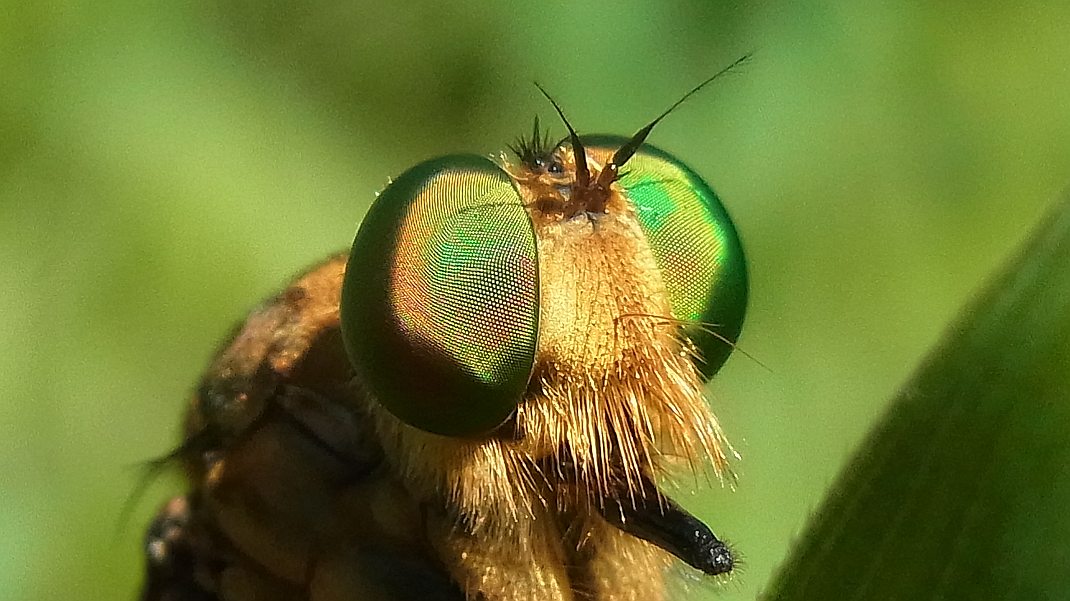 a0152692_18281816.jpg