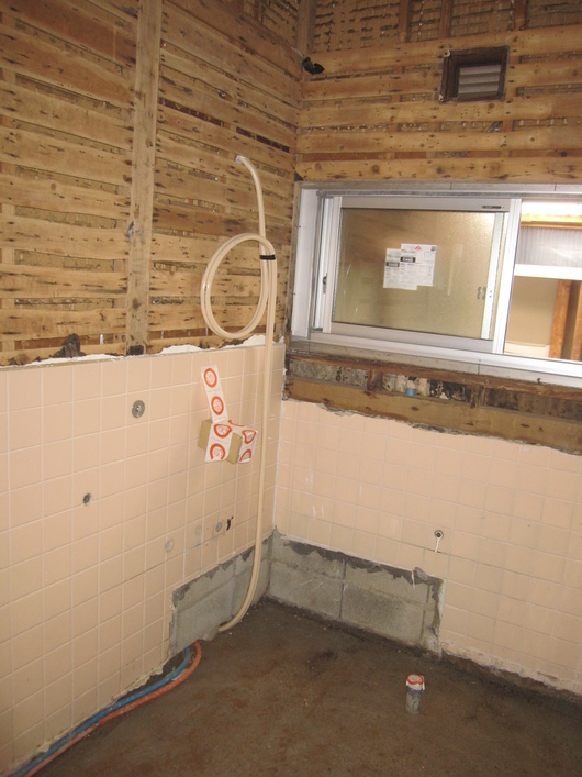 e0061092_2040532.jpg