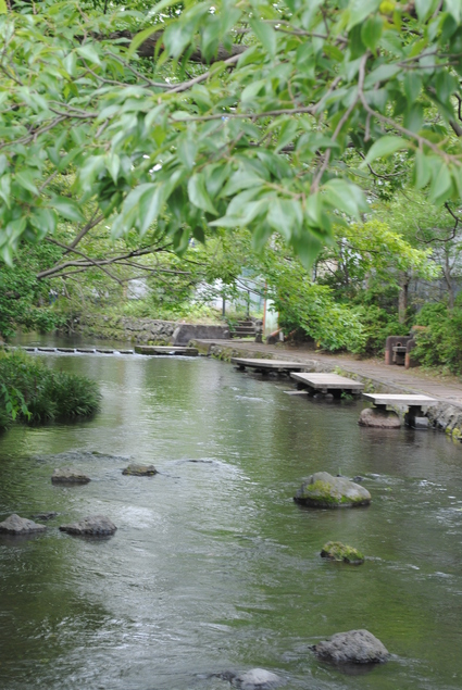 c0228393_20521171.jpg