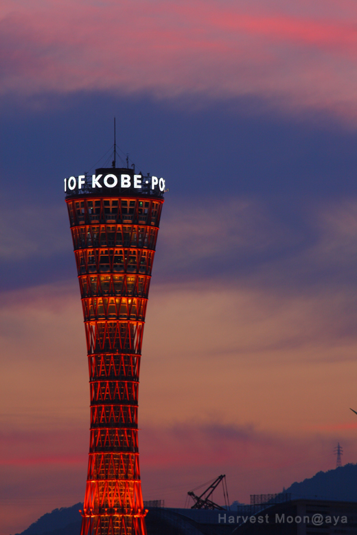 輝くポートタワー_b0208495_22451074.jpg