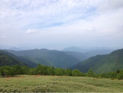 d0140497_21131994.jpg