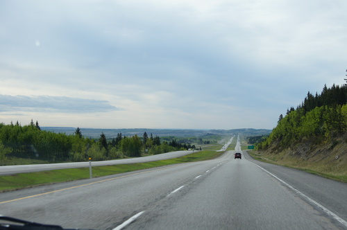 b0203998_3514744.jpg