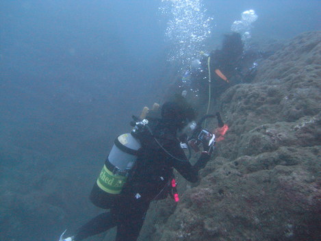 e0115199_2153149.jpg
