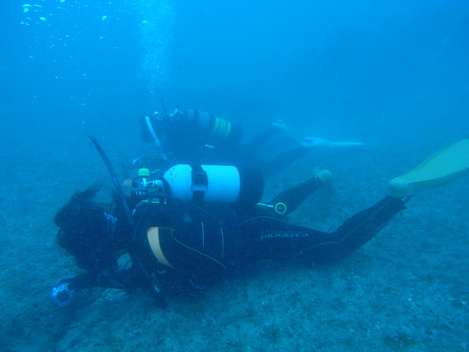 e0115199_216671.jpg