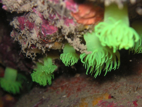 e0115199_21814.jpg