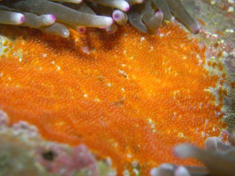 e0115199_233324.jpg