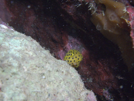 e0115199_23335011.jpg