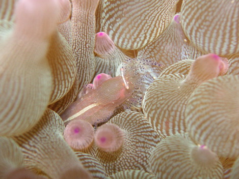 e0115199_2355565.jpg