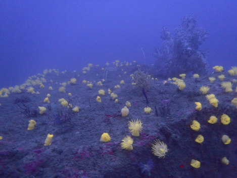 e0115199_2394957.jpg