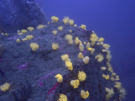 e0115199_2395464.jpg