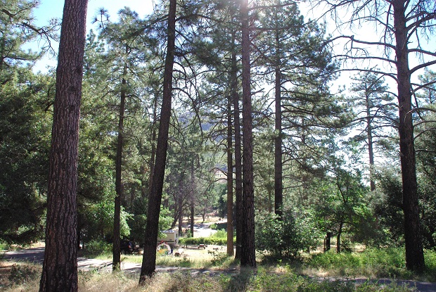 Camp at Cuyamaca Rancho State Park_f0038904_10303019.jpg