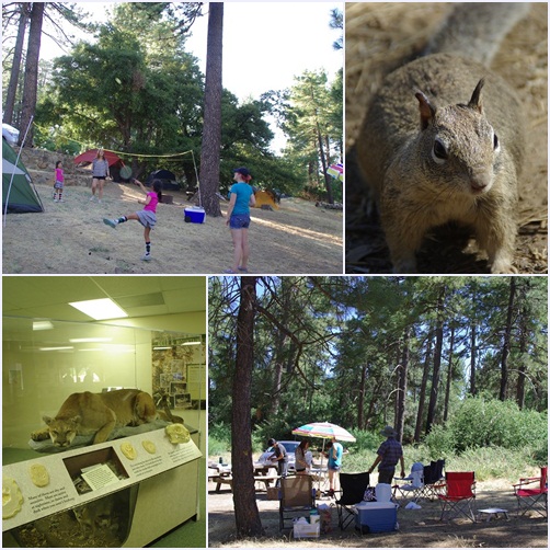 Camp at Cuyamaca Rancho State Park_f0038904_107154.jpg