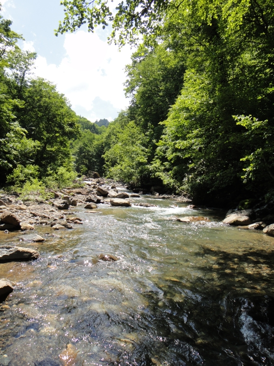b0172805_102029.jpg
