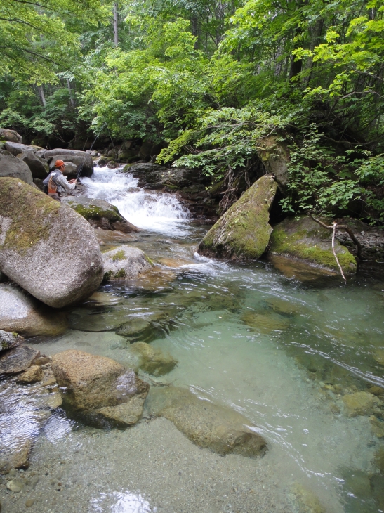 b0172805_1082140.jpg