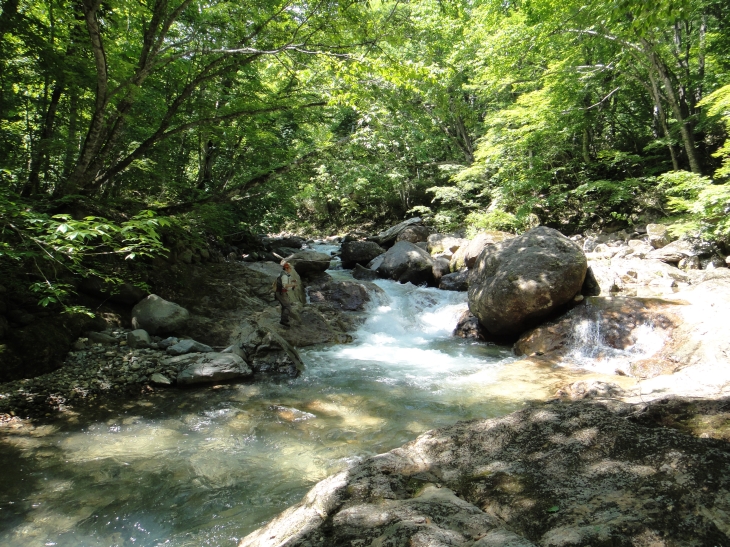 b0172805_9593935.jpg