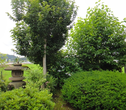 c0105306_1025265.jpg