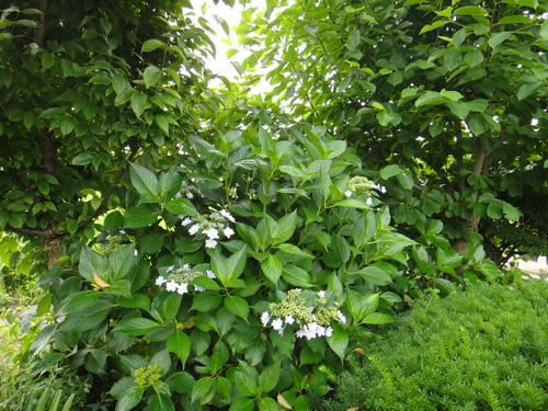 c0105306_1027364.jpg