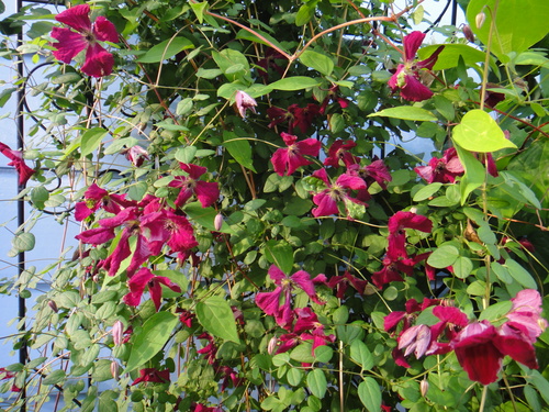 c0105306_10304853.jpg