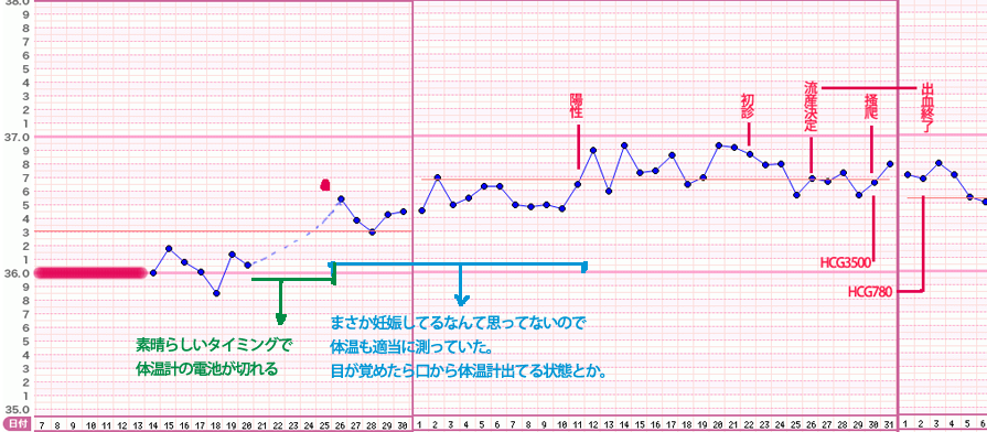 妊婦 体温 時期別 妊娠中の体温の調節 平均値 体温計と測り方 Amp Petmd Com