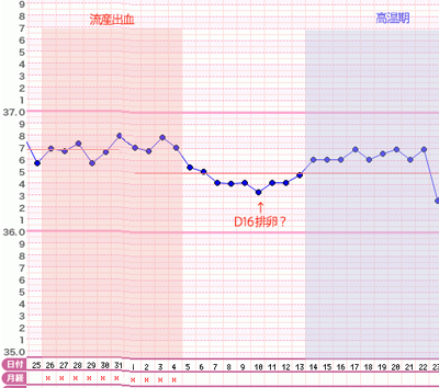 流産後の基礎体温表_c0201112_1595182.png