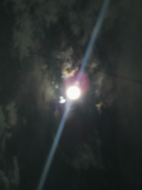 雲間からお月さま_d0255514_22405441.jpg