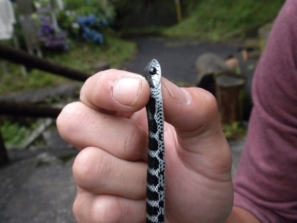 e0002314_173696.jpg