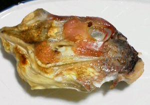 鯛の頭だってご馳走だい!_e0234016_195527.jpg