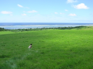 f0142821_8223931.jpg
