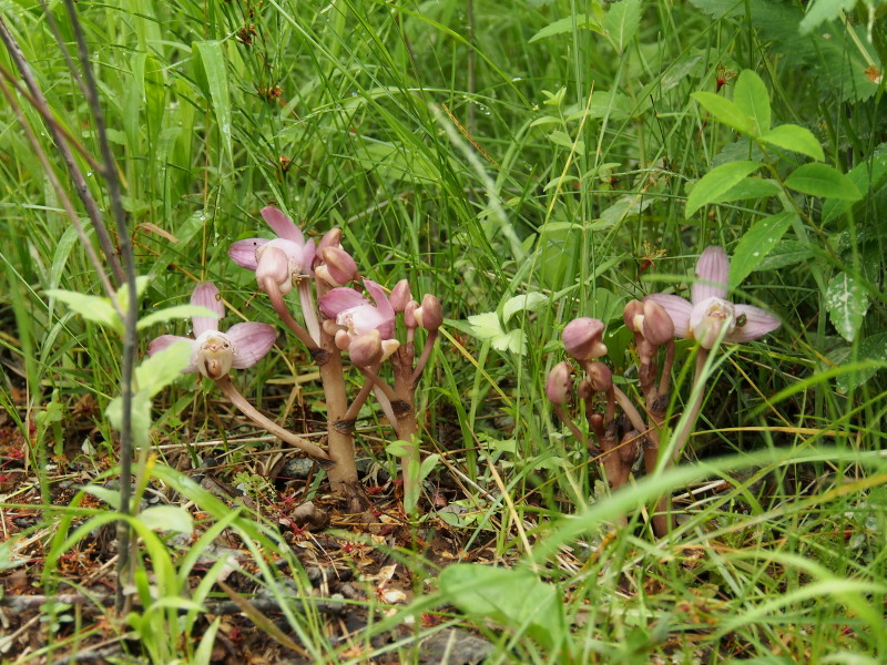 c0085622_22271427.jpg