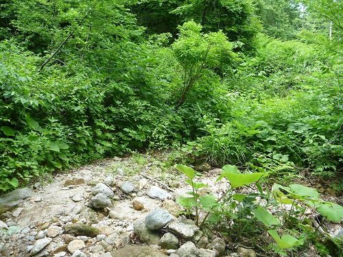 d0227723_949386.jpg