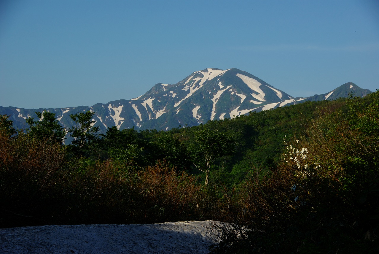 b0062024_20335663.jpg