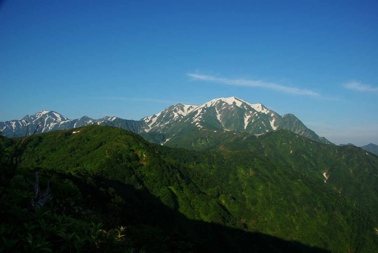 b0062024_20435230.jpg
