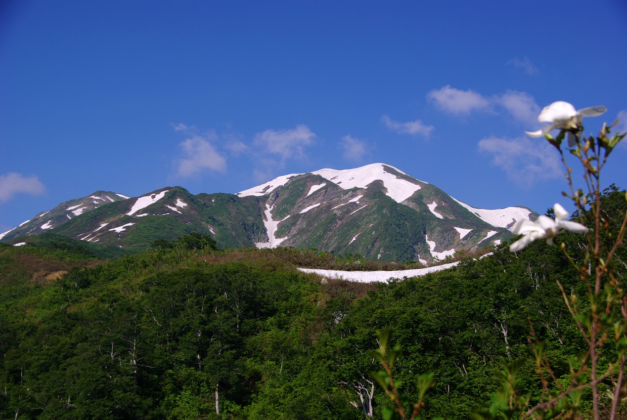 b0062024_2044165.jpg