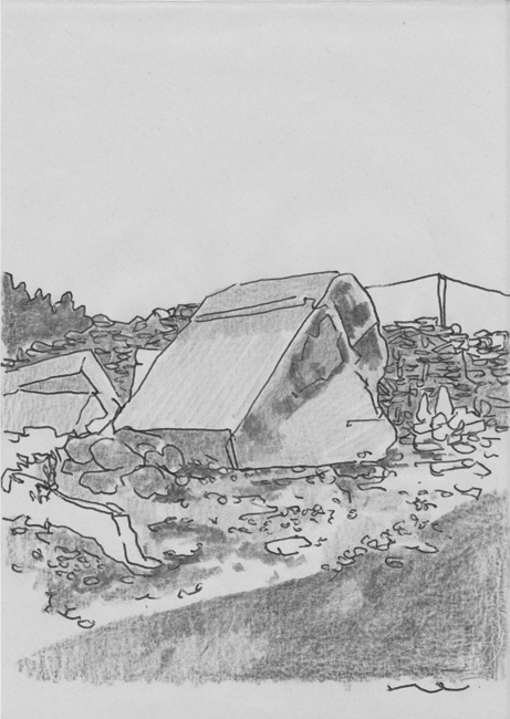 作品_d0159424_1055029.jpg