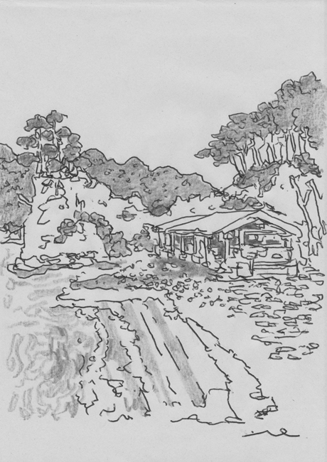 作品_d0159424_1057458.jpg