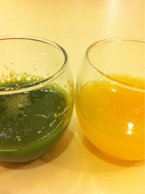 低速回転ジューサー_c0141025_1982944.jpg