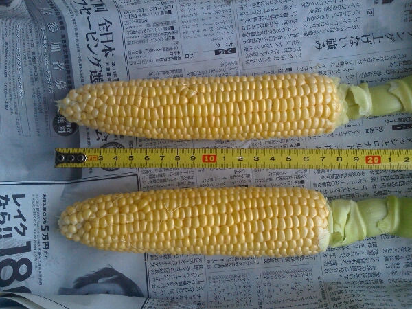 c0246826_14424330.jpg