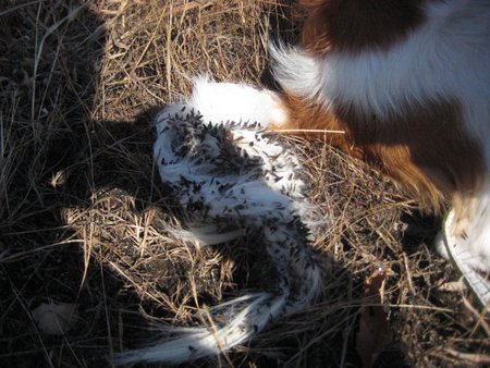 c0114929_211746100.jpg