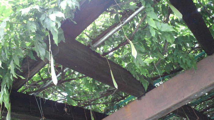 c0236632_2385470.jpg