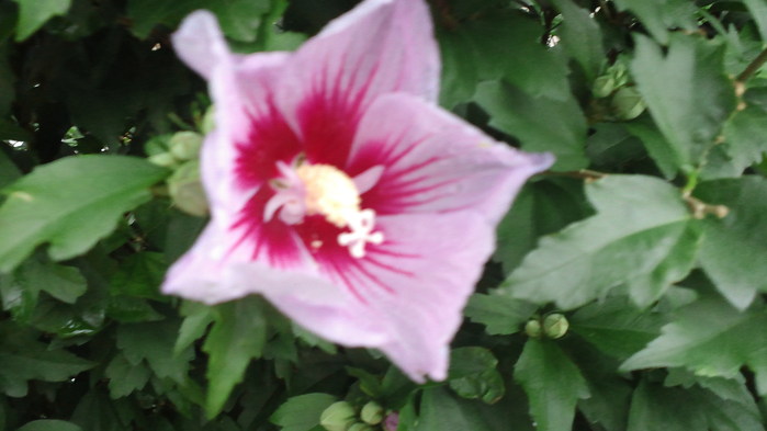 c0236632_2395956.jpg