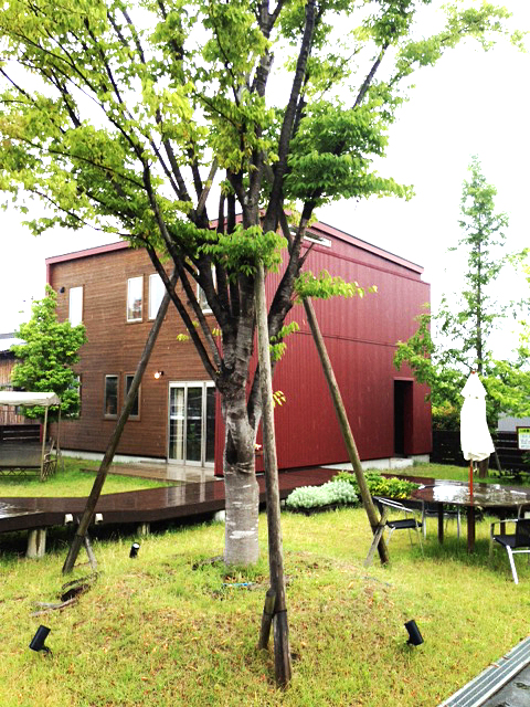 d0269133_0362085.jpg