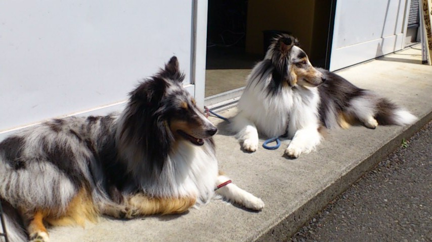 d0252434_9451737.jpg