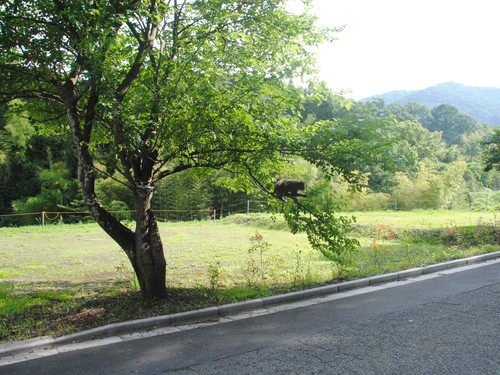 a0048040_2085831.jpg