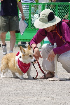 わんわん運動会_f0045846_924975.jpg