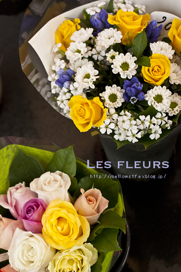 パリ旅行 2012-4　【 パリのお花たち 】_d0124248_19394770.jpg